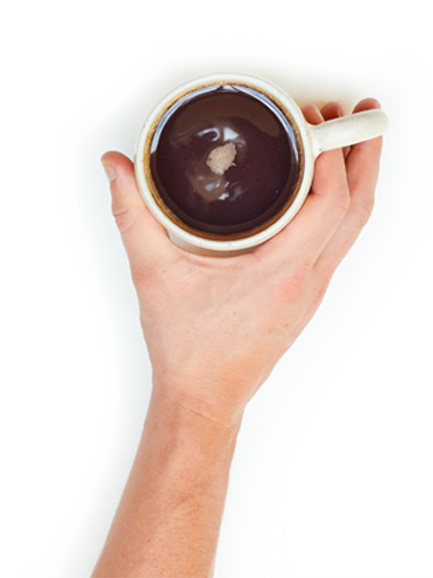 Alles aus einer Hand - Heideweb